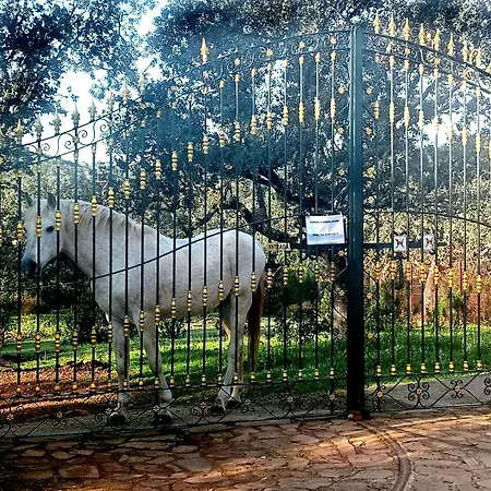 Casa Rural El Lago Cerro Muriano - Reserva De Guadanuno 度假居 科爾多瓦
