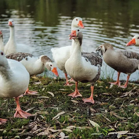 Casa Rural El Lago Cerro Muriano - Reserva De Guadanuno * Cordoba