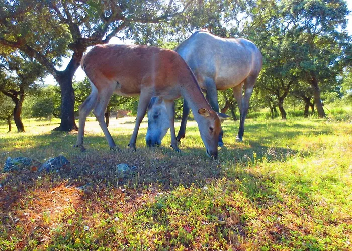 Casa Rural El Lago Cerro Muriano - Reserva De Guadanuno Holiday home Cordoba