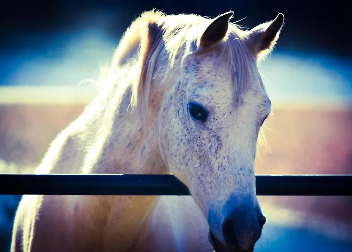 Holiday home Casa Rural El Lago Cerro Muriano - Reserva De Guadanuno Cordoba