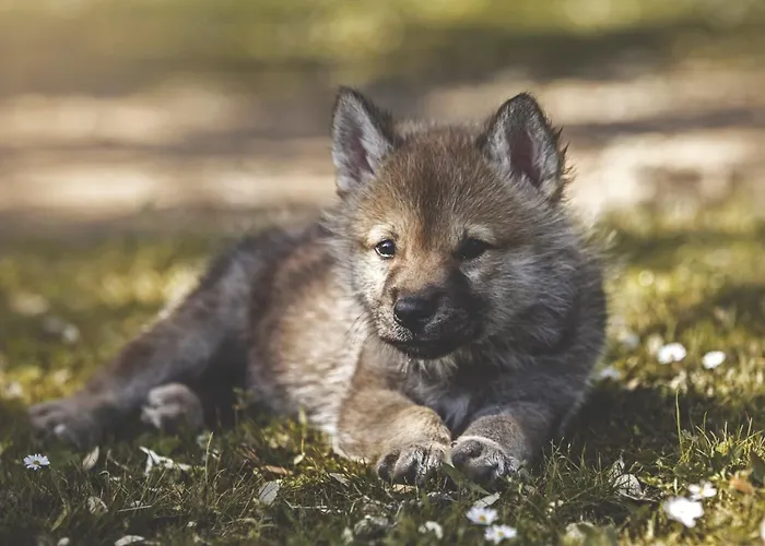 Feriehus Casa Rural El Lago Cerro Muriano - Reserva De Guadanuno *