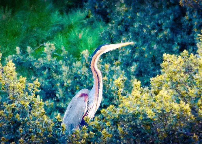 Casa Rural El Lago Cerro Muriano - Reserva De Guadanuno * Cordoba