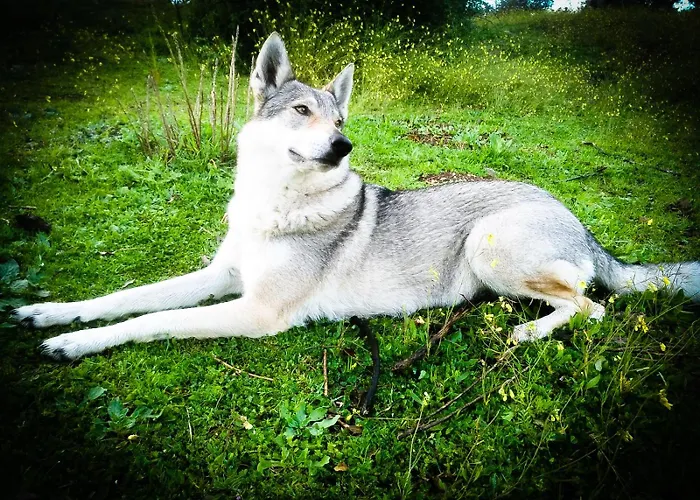 Casa Rural El Lago Cerro Muriano - Reserva De Guadanuno Feriehus *