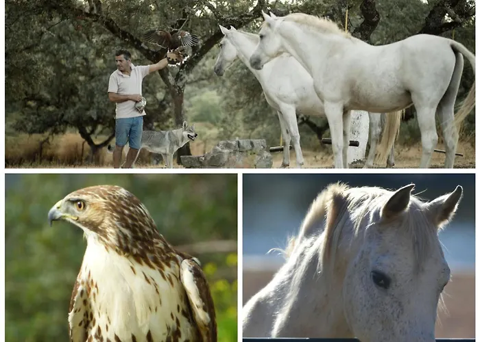 Casa Rural El Lago Cerro Muriano - Reserva De Guadanuno Feriehus