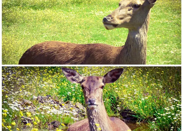 Casa Rural El Lago Cerro Muriano - Reserva De Guadanuno