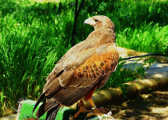 Casa Rural El Lago Cerro Muriano - Reserva De Guadanuno Holiday home *