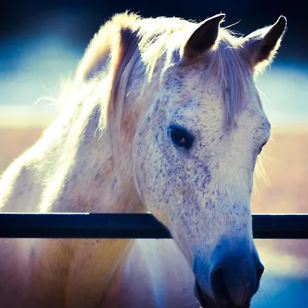 Prázdninový dům Casa Rural El Lago Cerro Muriano - Reserva De Guadanuno Córdoba