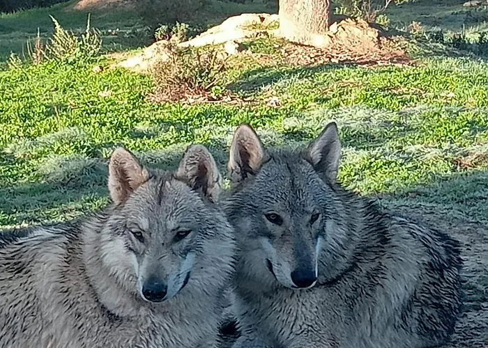 Casa Rural El Lago Cerro Muriano - Reserva De Guadanuno Hébergement de vacances Cordoue