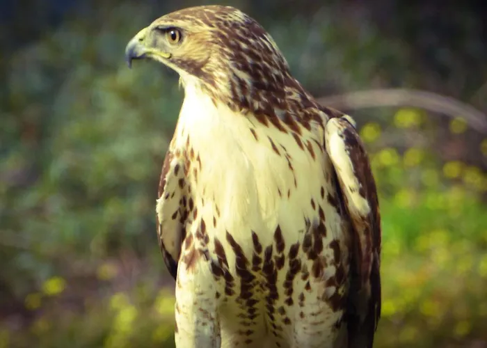 Casa Rural El Lago Cerro Muriano - Reserva De Guadanuno * Cordoue