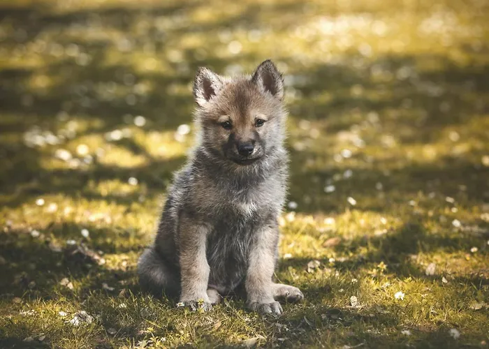 Casa Rural El Lago Cerro Muriano - Reserva De Guadanuno