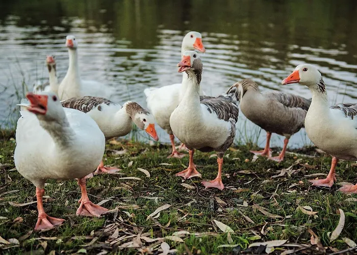 Casa Rural El Lago Cerro Muriano - Reserva De Guadanuno * Cordoue