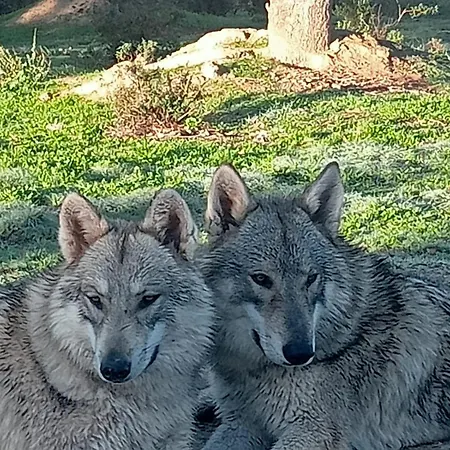 Casa Rural El Lago Cerro Muriano - Reserva De Guadanuno Vakantiehuis Córdoba
