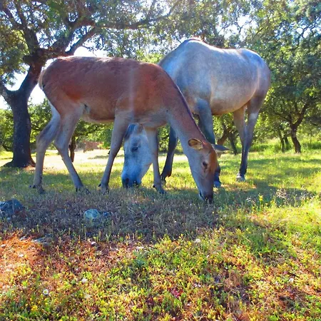 Casa Rural El Lago Cerro Muriano - Reserva De Guadanuno Vakantiehuis Córdoba