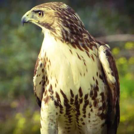 Casa Rural El Lago Cerro Muriano - Reserva De Guadanuno * Córdoba