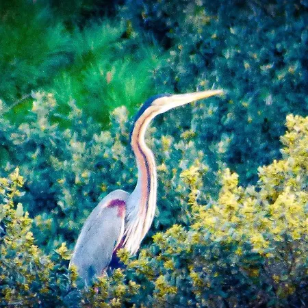 Casa Rural El Lago Cerro Muriano - Reserva De Guadanuno * Córdoba