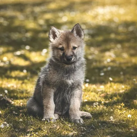 Casa Rural El Lago Cerro Muriano - Reserva De Guadanuno