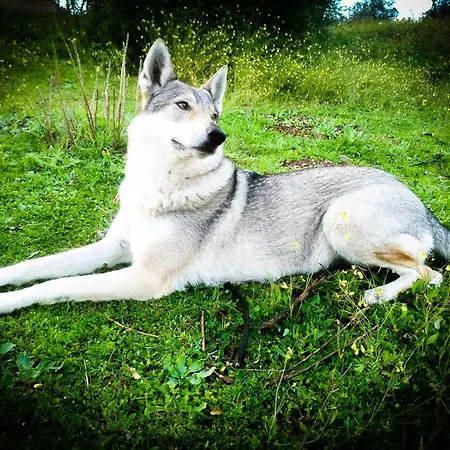 Casa Rural El Lago Cerro Muriano - Reserva De Guadanuno Vakantiehuis *