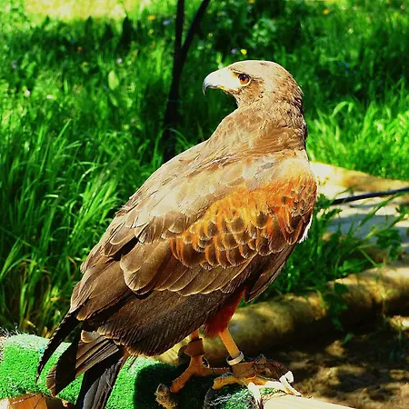 Casa Rural El Lago Cerro Muriano - Reserva De Guadanuno Vakantiehuis *